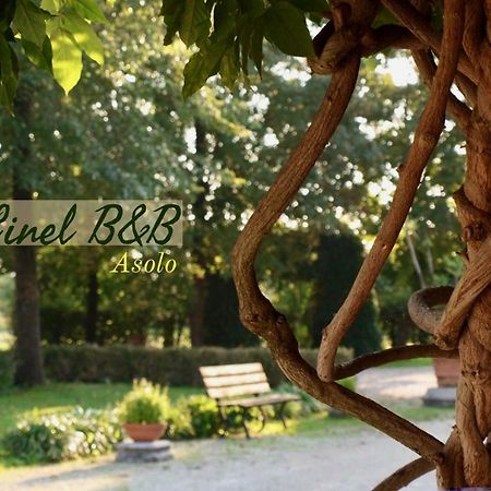 B&B Ca' Cinel Asolo Exterior foto